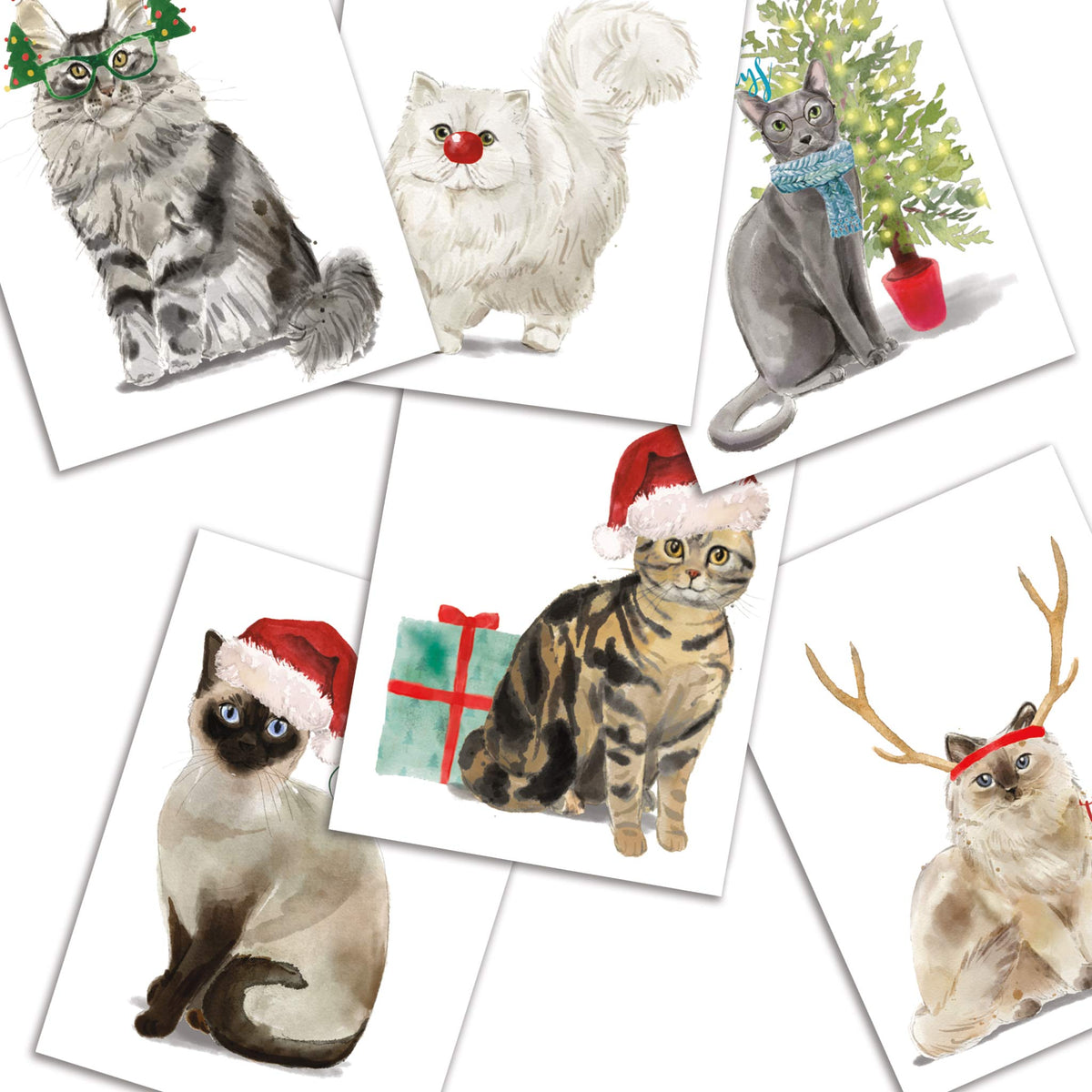 Meowy Christmas Greeting Cards, Set of 24
