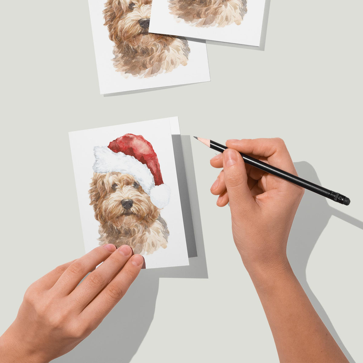 Pack of 24 matching holiday cards with a watercolor labradoodle portrait, Santa hat, cream and golden fur tones.