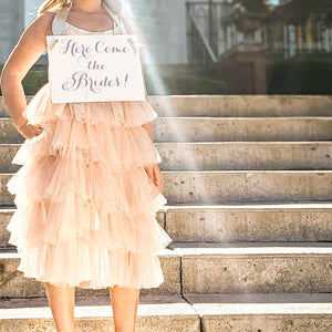 Here Come The Brides Lesbian Wedding Sign