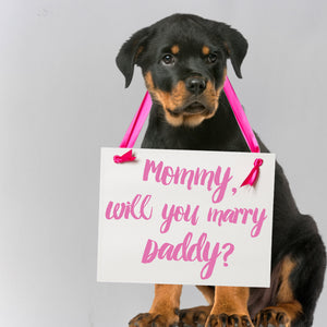 Mommy Will You Marry Daddy Sign