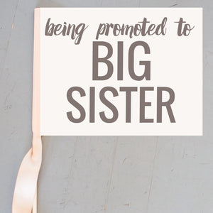 Being Promoted to Big Sister Flag