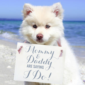 Mommy & Daddy Are Saying I Do! Sign for Dogs or Kids