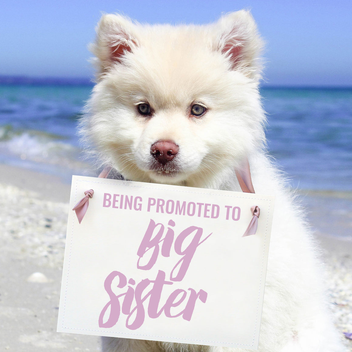 Being Promoted To Big Sister Sign for Dog or Kid
