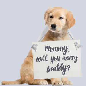 Mommy Will You Marry Daddy Proposal Sign