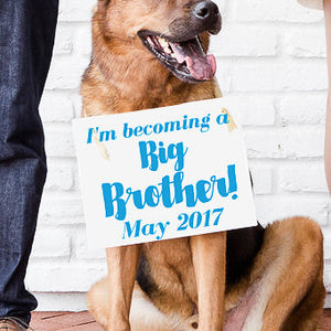 Becoming a Big Brother Banner