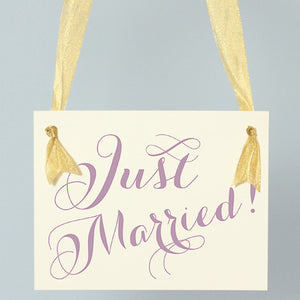 Just Married Sign for Wedding