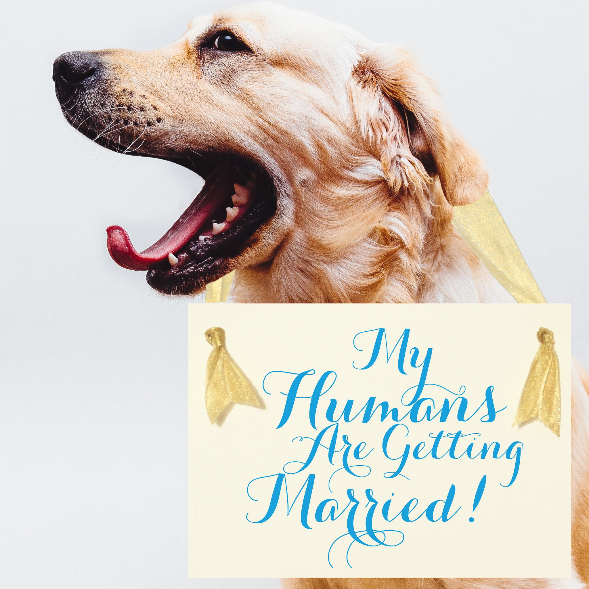 My Humans Are Getting Married Dog Wedding Sign