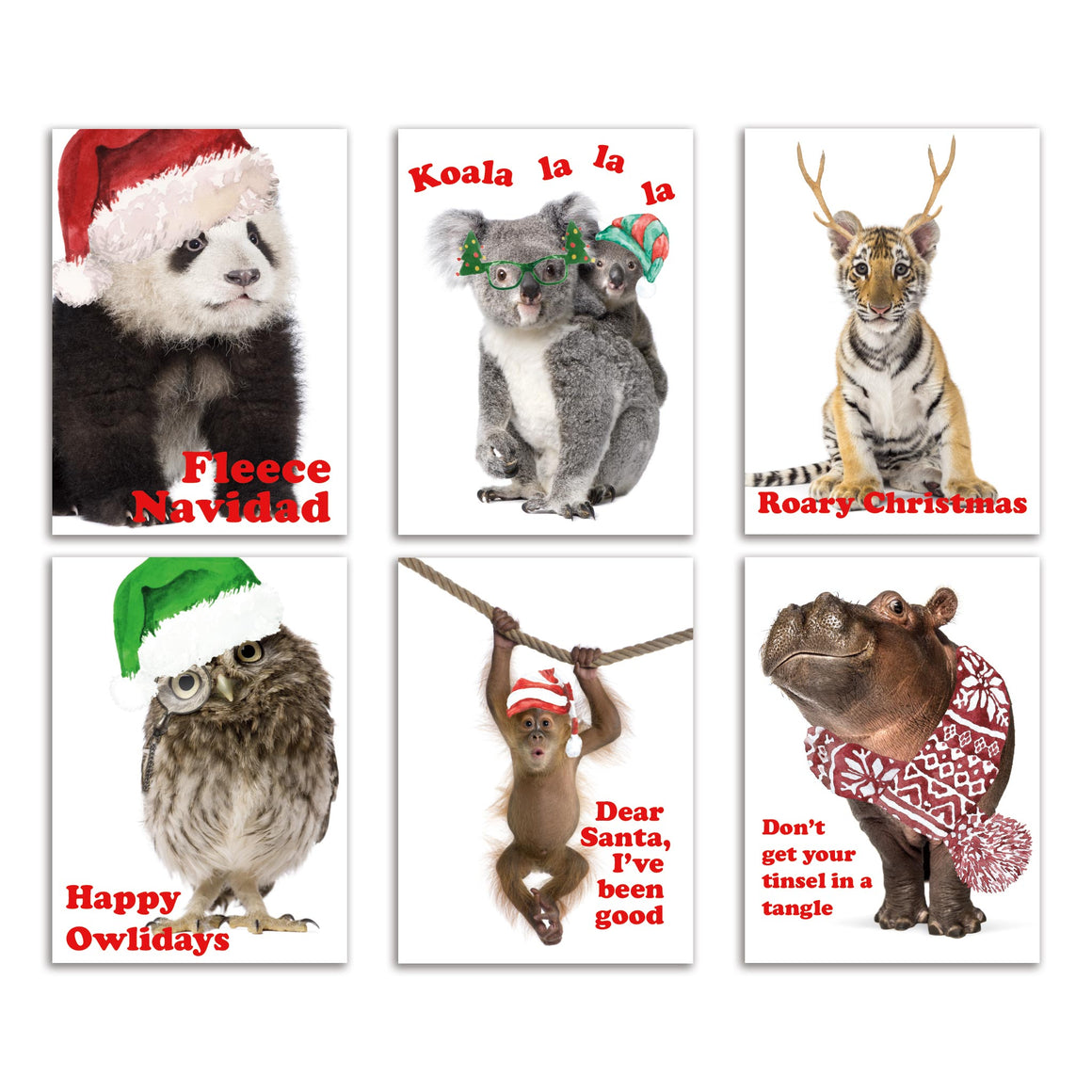 24 Baby Animals with Accessories Christmas Cards in 6 Adorable Designs + Envelopes