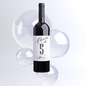 Anniversary Wine Label Cheers to 10 Years (Custom Year) Wedding Anniversary Wine Bottle Label Birthday Wine Bottle Label 21st Birthday 9040