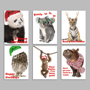 24 Baby Animals with Accessories Christmas Cards in 6 Adorable Designs + Envelopes